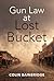 Gun Law At Lost Bucket