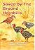 Saved By The Ground Hornbills