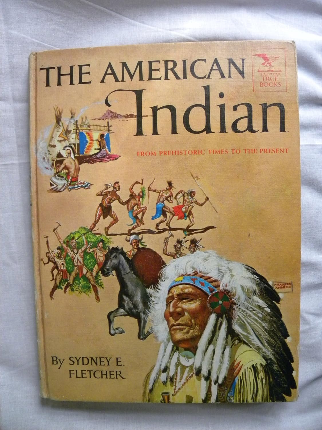 The American Indian by Sydney E. Fletcher (Hardcover)