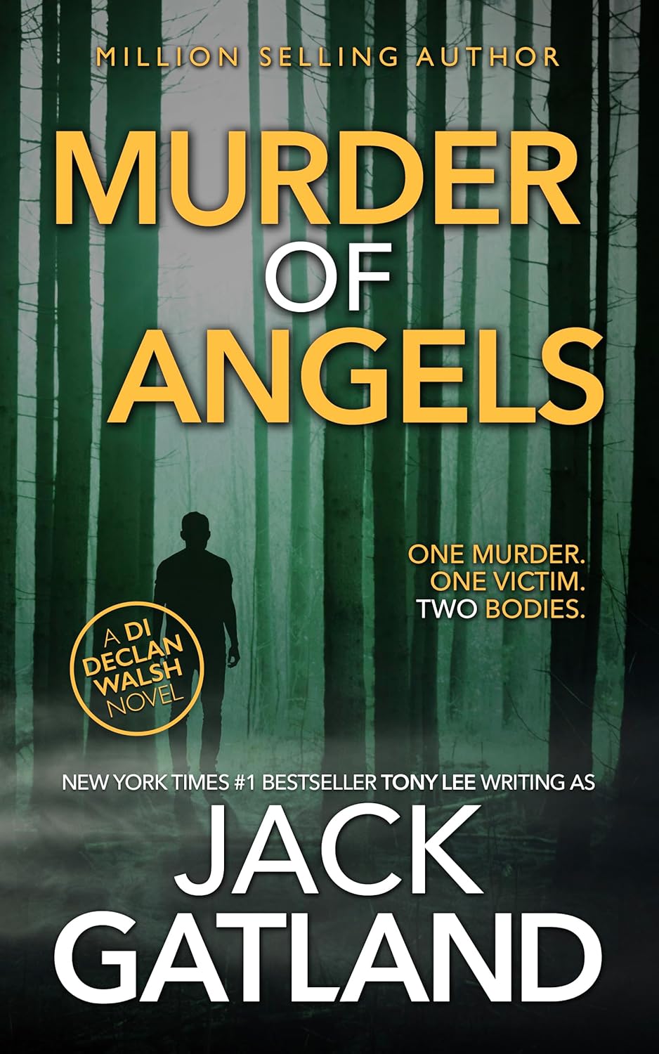 Murder of Angels (Detective Inspector Declan Walsh #2)