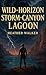Wild-horizon Storm-canyon L...