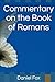 Commentary on the Book of Romans by Daniel Fox