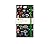 Anna Stead: Mushrooms & Fungi Flame Tree Sticky Notes Folder