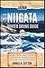 Japan Niigata Winter Skiing...