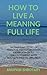 HOW TO LIVE A MEANING FULL ...