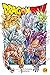 Dragon Ball Super, Vol. 24 ...