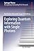 Exploring Quantum Information with Single Photons (Springer Theses)