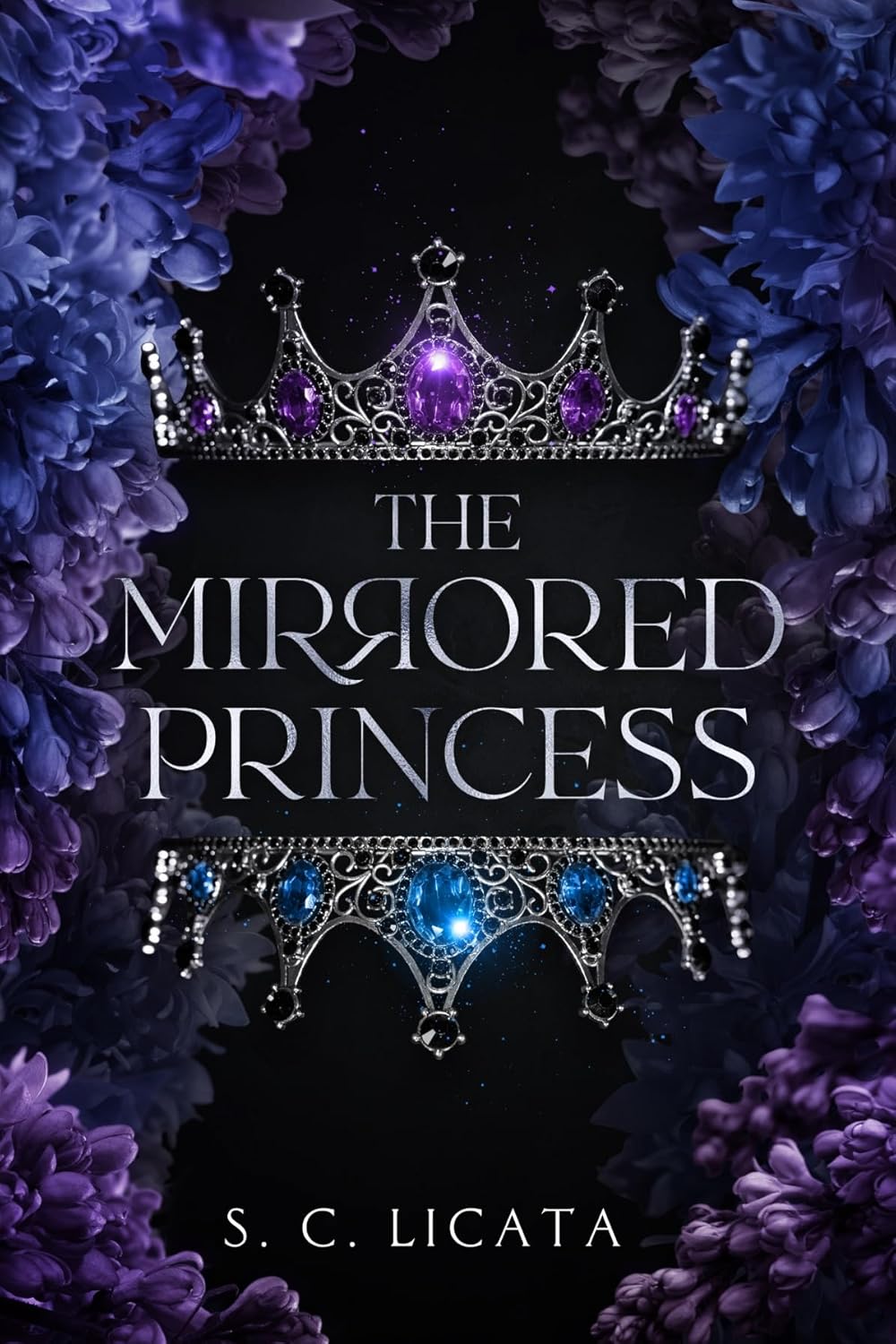 The Mirrored Princess (Kindle Edition)