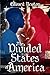 The Divided States of America
