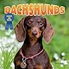 Dachshunds (Favorite Dog Breeds)