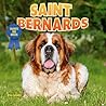 Saint Bernards (Favorite Dog Breeds)