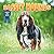 Basset Hounds
