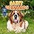 Saint Bernards