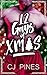 Bro, It's Cold Outside: MM Best Friends to Lovers Holiday Romance (Happy Holigays)