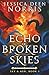 Echo of Broken Skies (Sky & Ash)