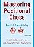 Mastering Positional Chess:...
