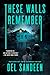 These Walls Remember by Del Sandeen