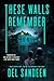 These Walls Remember by Del Sandeen