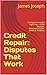 Credit Repair: Disputes Tha...