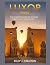 Luxor 2026: The Complete Gu...