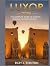Luxor 2026: The Complete Gu...