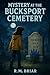 The Mystery at the Bucksport Cemetery by R.M. Briar