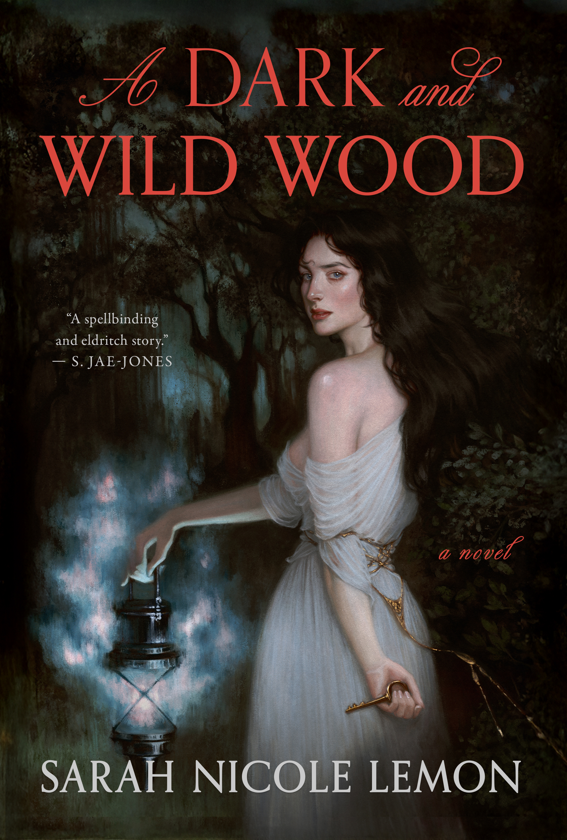 A Dark and Wild Wood (Hardcover)