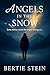 Angels In The Snow (Angels Among Us Book 1)