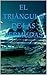 EL TRIANGULO DE LAS BERMUDAS (Spanish Edition)