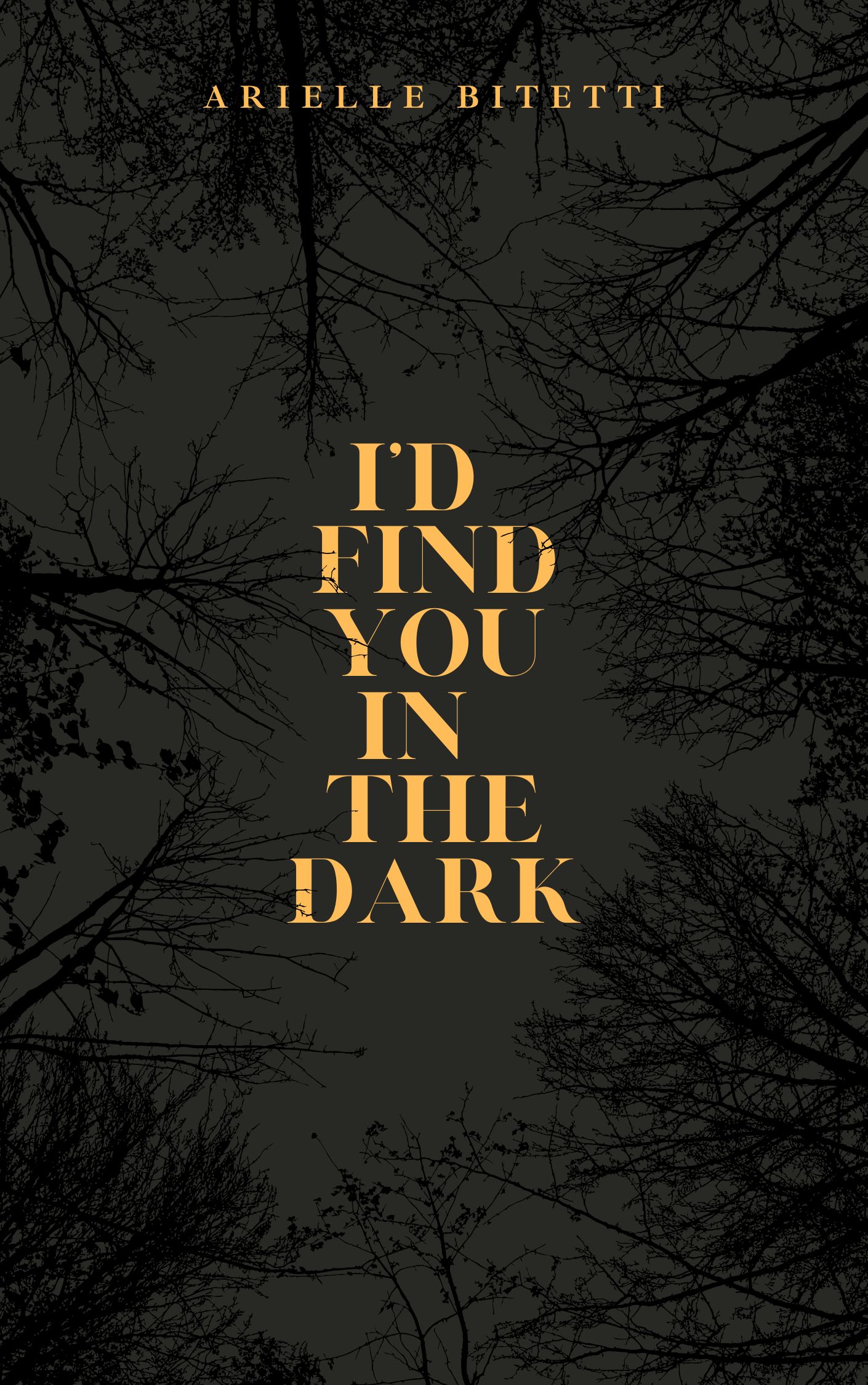 I'd Find You In The Dark (Paperback)