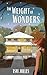 The Weight of Wonders by Tsvi Jolles