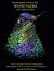 Hummingbirds of Costa Rica: Messengers of the Gods