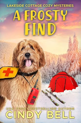 A Frosty Find (Lakeside Cottage Cozy Mysteries #7)
