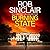 Burning State: A BRAND NEW action-packed thriller from Rob Sinclair (The James Ryker Series)