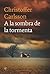 A la sombra de la tormenta