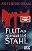 Flut aus schwarzem Stahl (Zeit des Zorns, #1)