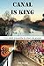 Canal is King by Bill Savage