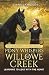 Pony Whispers at Willowe Creek by Diana Jamieson Pony Whispers at Willowe Creek by Diana Jamieson