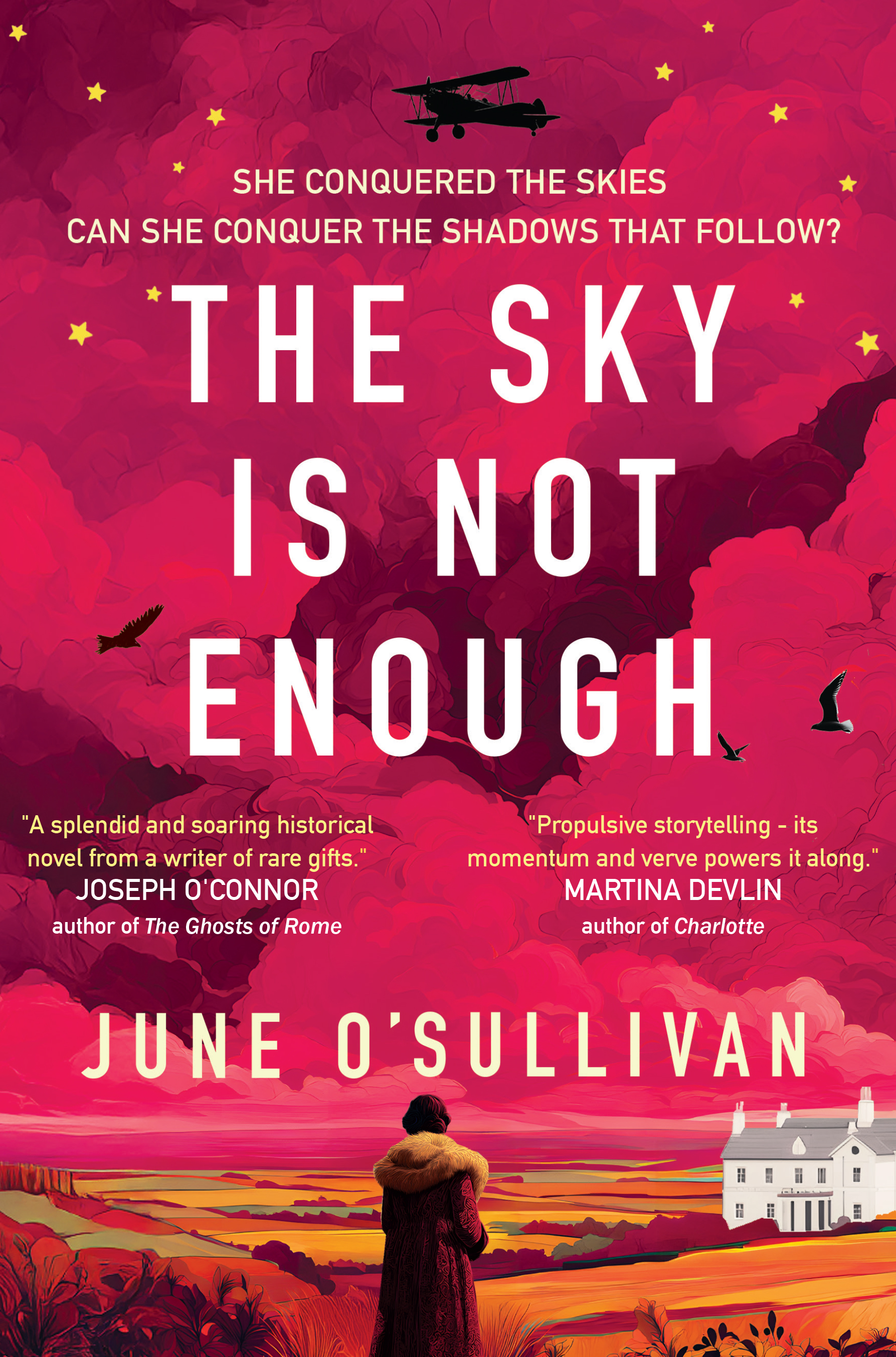 The Sky is Not Enough: A Heart-Stirring Journey of Dreams, Danger, and Destiny