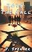 2078: The Fall