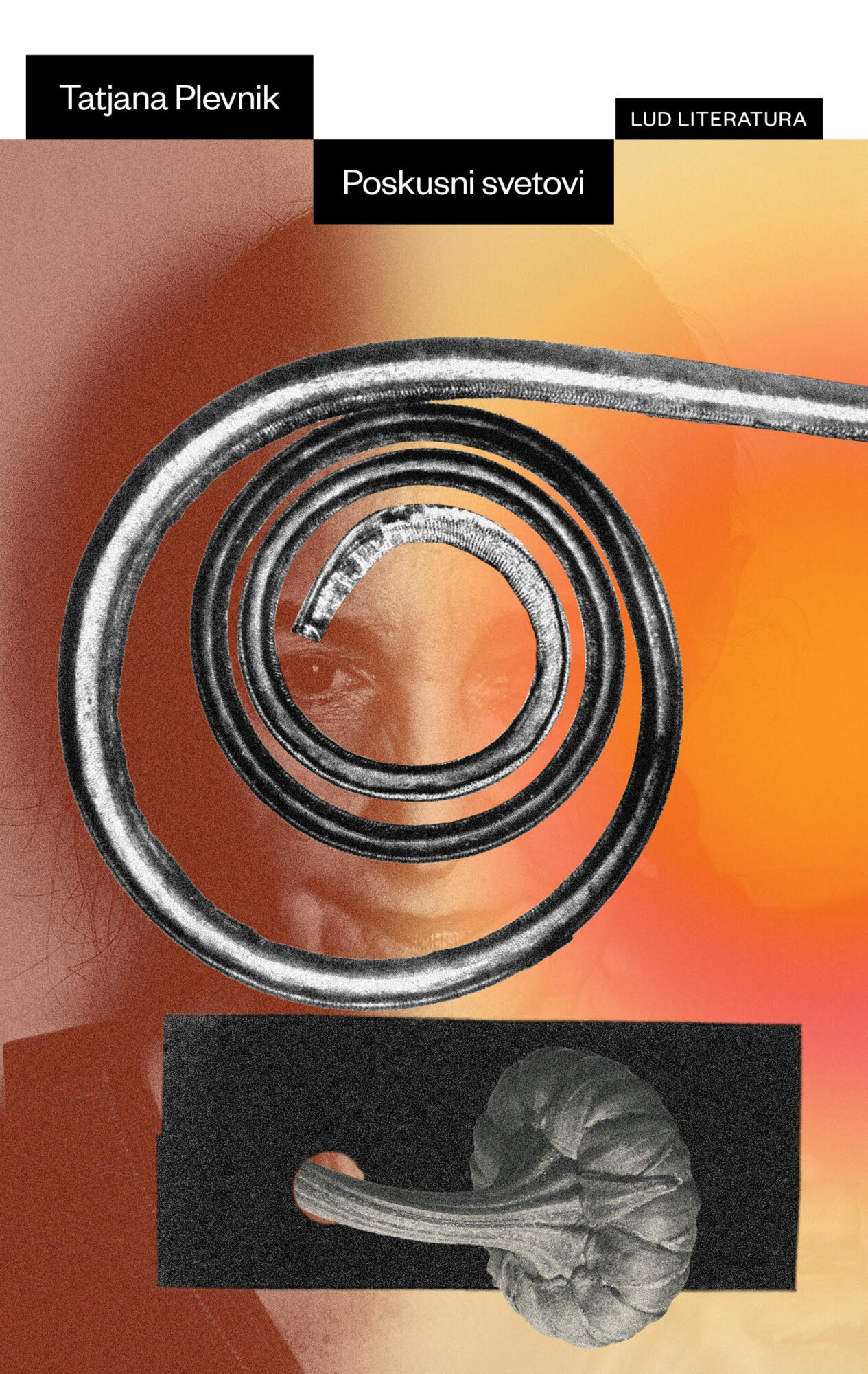 Poskusni svetovi (Paperback)