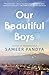 Our Beautiful Boys: A Novel