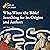 Who Wrote the Bible? Searching for Its Origins and Authors by Joel S. Baden Who Wrote the Bible? Searching for Its Origins and Authors by Joel S. Baden