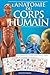 L'Anatomie du Corps Humain: 24 Grandes Planches Illustrées