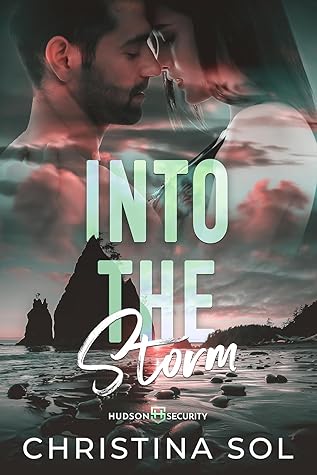 Into the Storm (Hudson Security, #2)