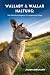 Wallaby & Wallaroo Haltung by Julian Bergmann
