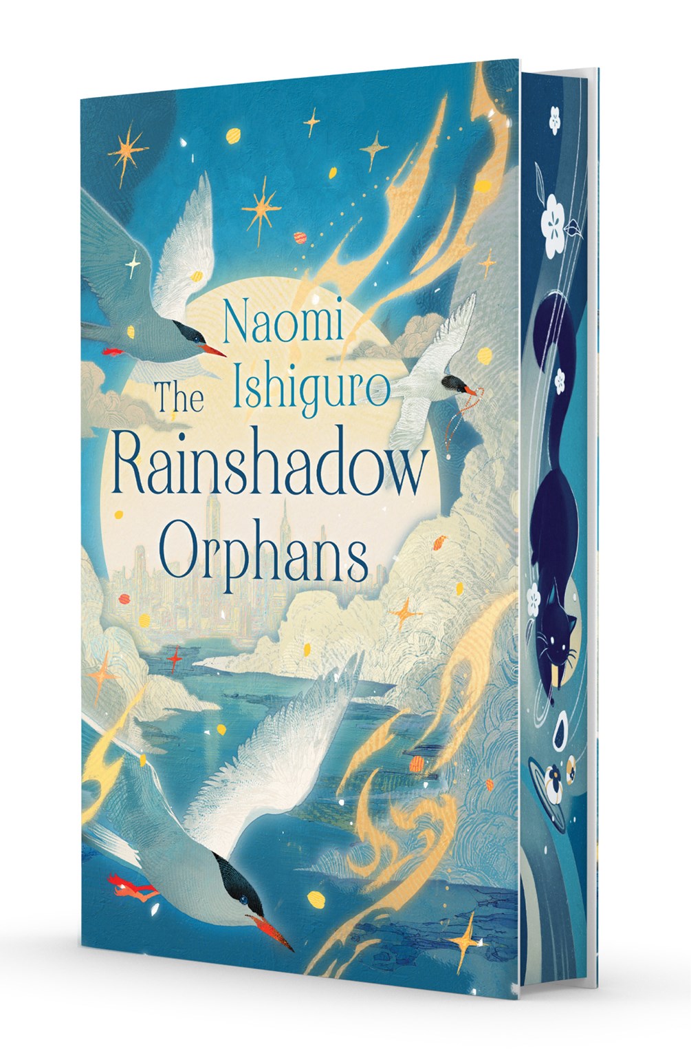 The Rainshadow Orphans: The Rainshadow Series, Book One (Hardcover)