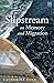 Slipstream: On Memory and Migration