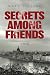 Secrets Among Friends