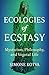 Ecologies of Ecstasy: Mysti...